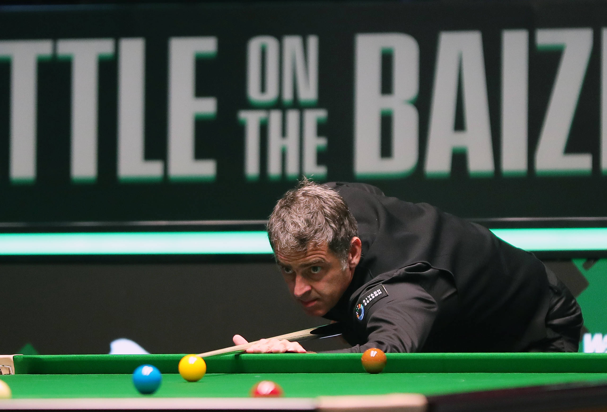 嘉兴等地参 嘉兴等地参