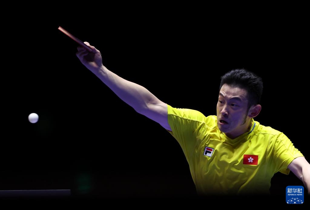 球队的整体 球队的整体