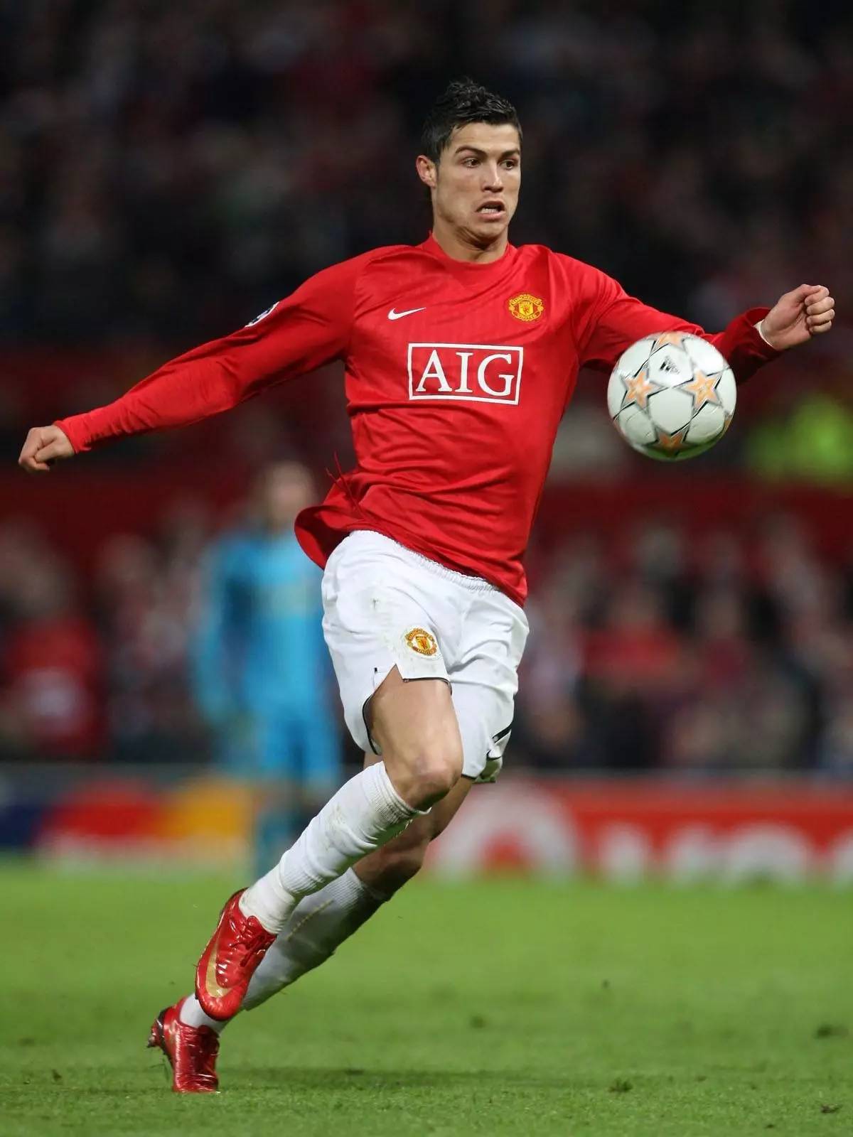 将文字赋予 将文字赋予