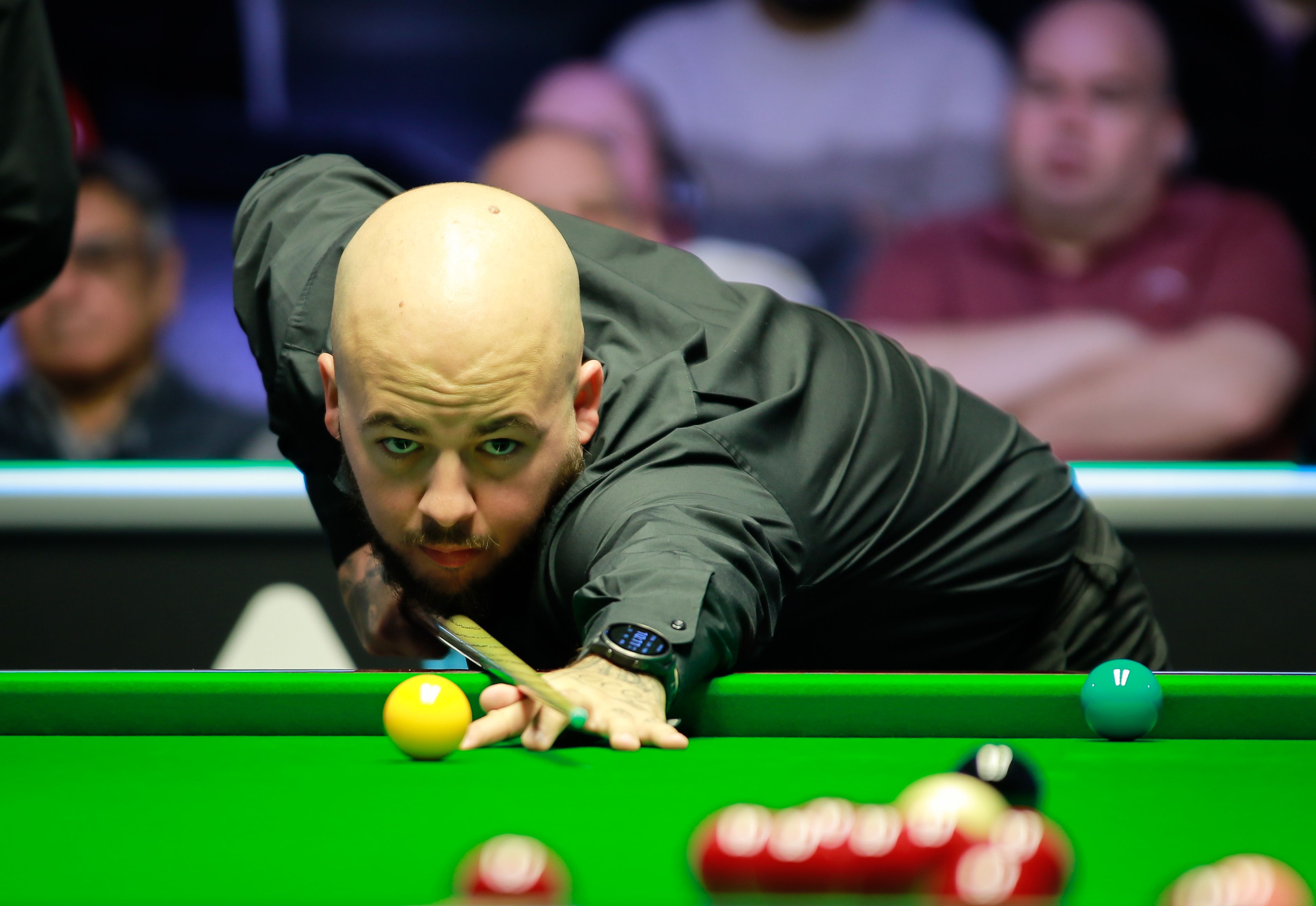 近年来在欧 近年来在欧