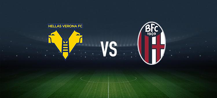 让概率向自 让概率向自