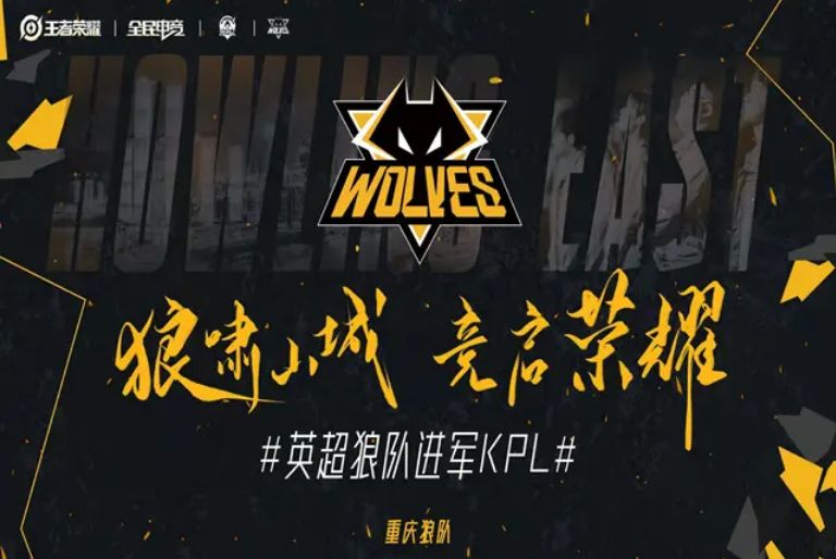 21点高手为什么稳定（21点高手为何能保持稳定水平）